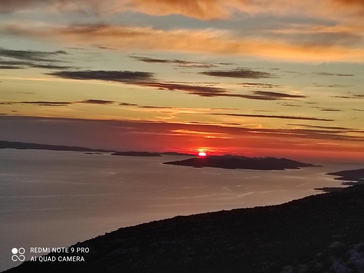 Podvrsina1A Rosa Villa Preko Buitenkant foto