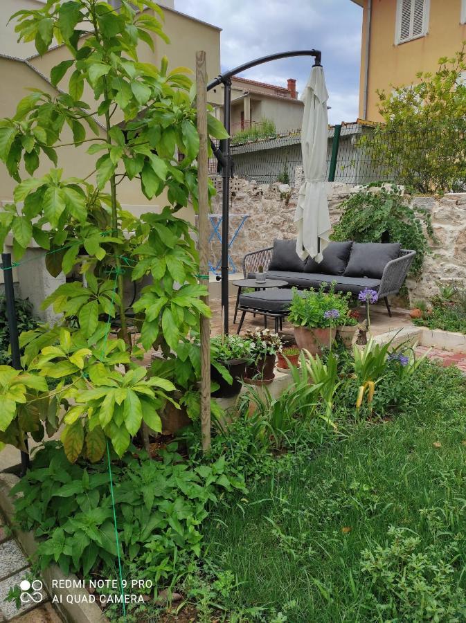 Podvrsina1A Rosa Villa Preko Buitenkant foto