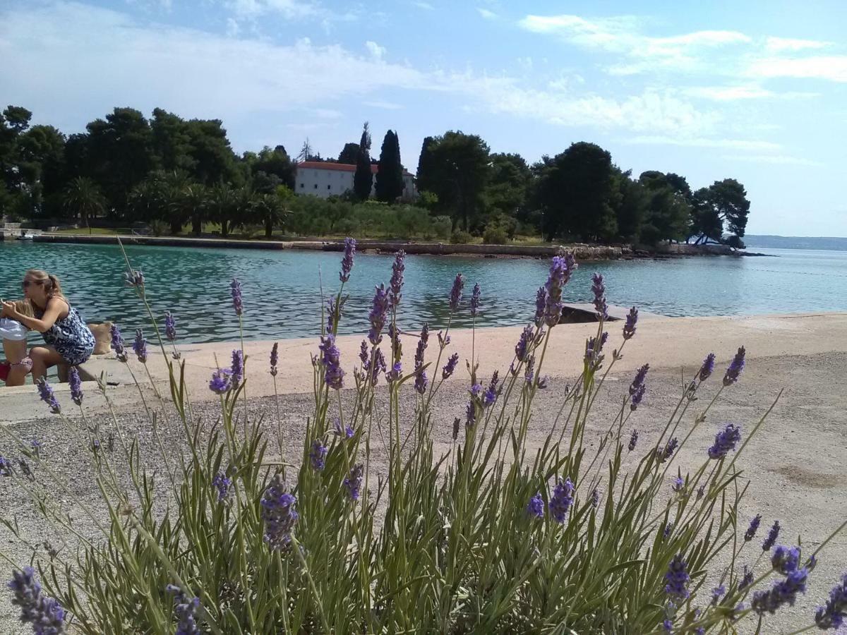 Podvrsina1A Rosa Villa Preko Buitenkant foto